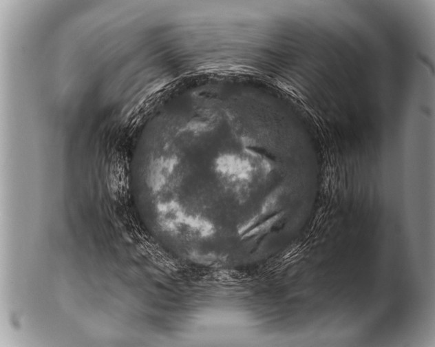 X0000100400966200806201732