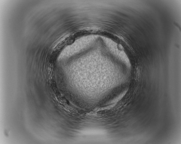 X0000100400967200806201732