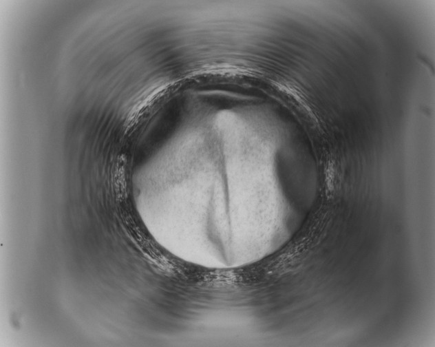 X0000100400968200806201732