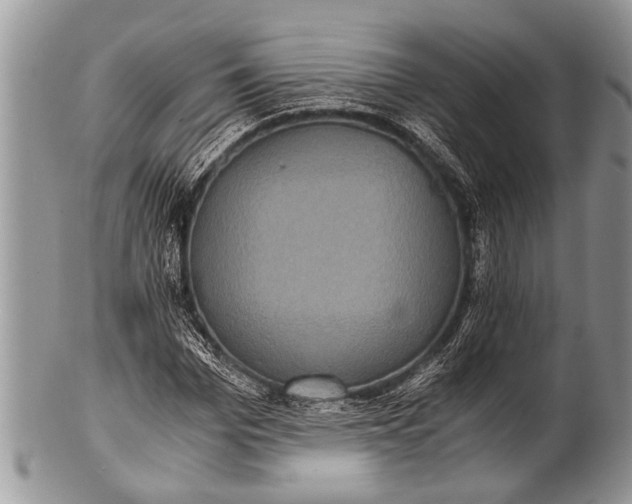X0000100400969200806201732