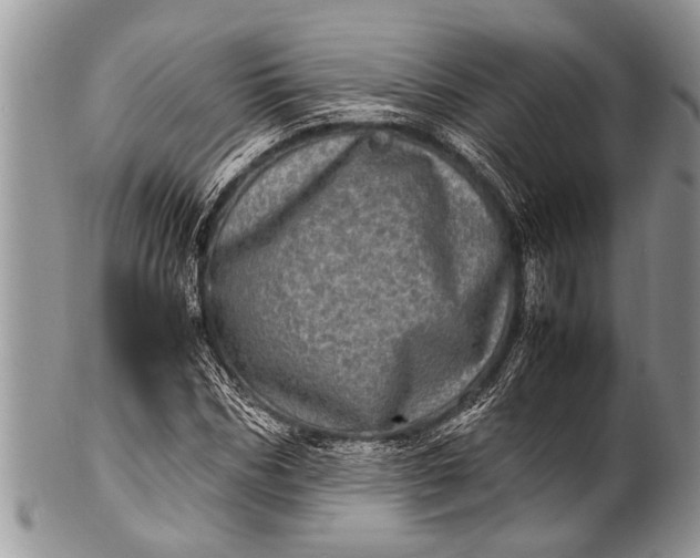 X0000100400970200806201732