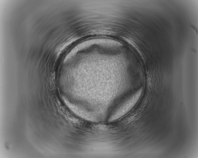 X0000100400971200806201732
