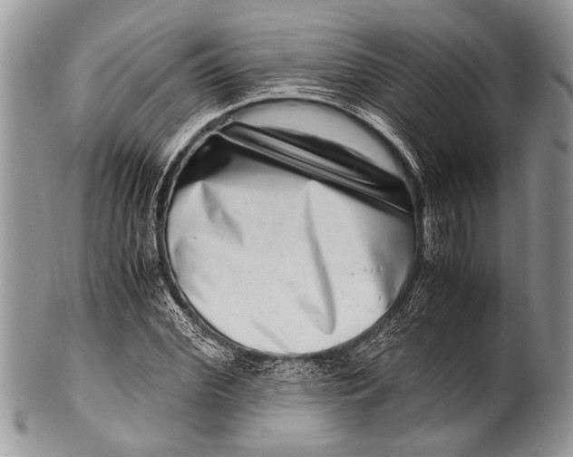 X0000100400972200806201732