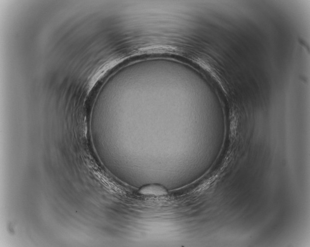 X0000100400973200806201732