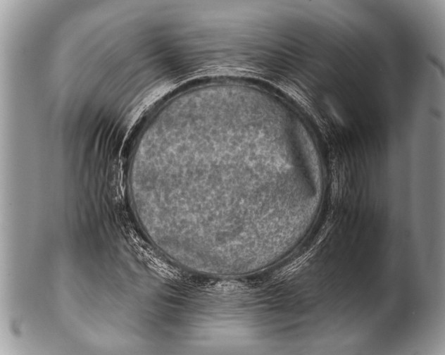 X0000100400974200806201732