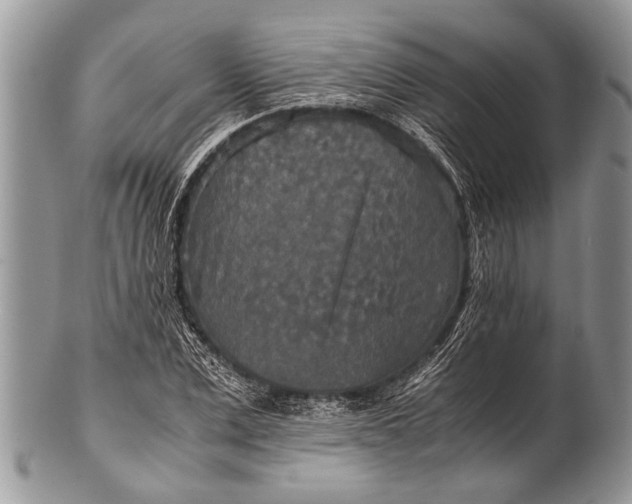 X0000100400975200806201732