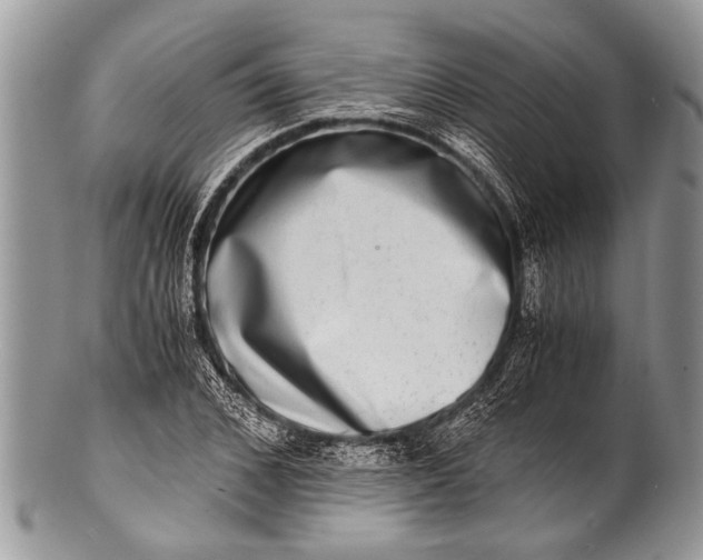 X0000100400976200806201732