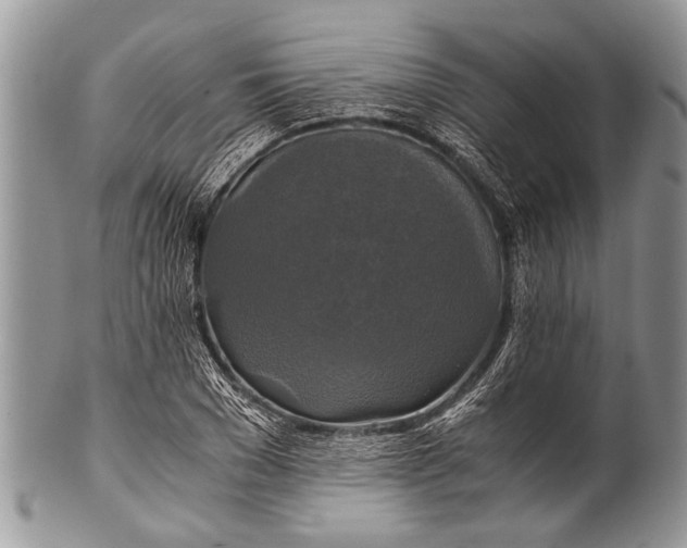 X0000100400977200806201732