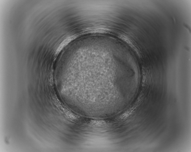 X0000100400978200806201732