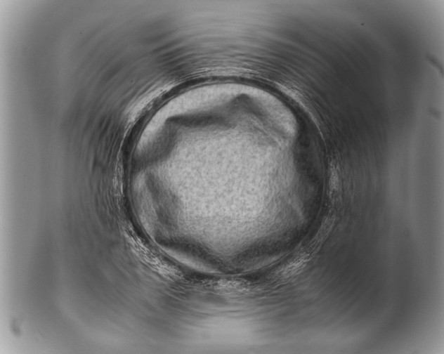X0000100400979200806201732