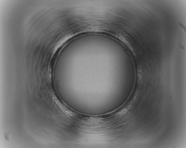 X0000100400981200806201732