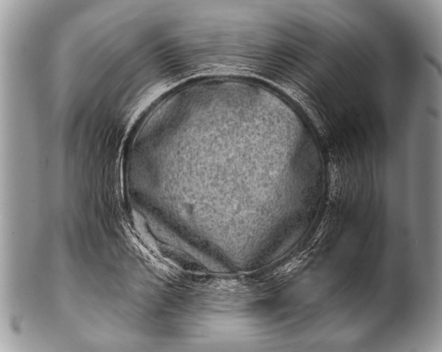 X0000100400982200806201732