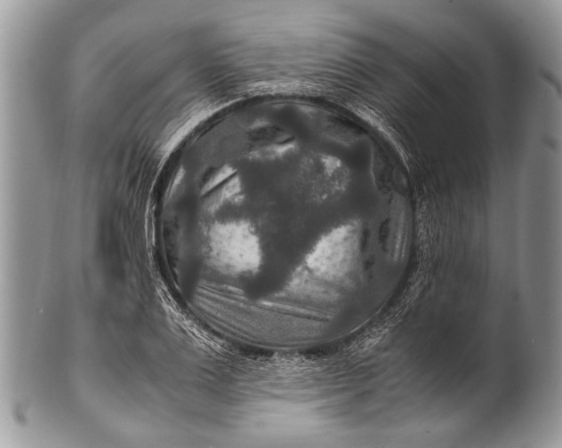 X0000100400983200806201732