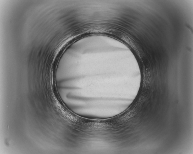 X0000100400984200806201732