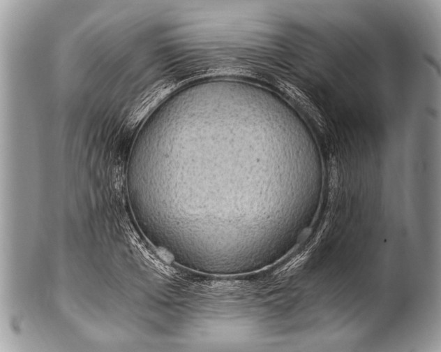 X0000100400985200806201732