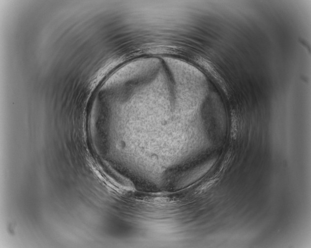 X0000100400986200806201732