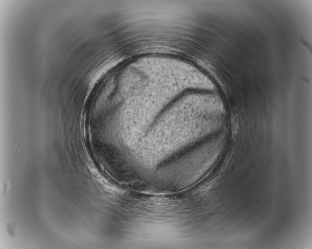 X0000100400987200806201732