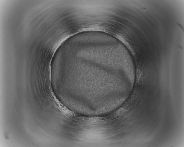 X0000100400988200806201732