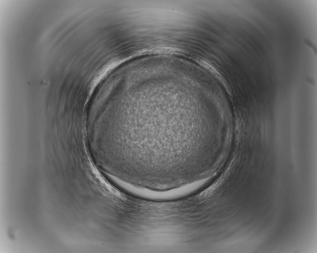 X0000100400989200806201732