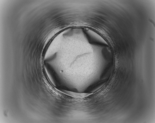 X0000100400990200806201732