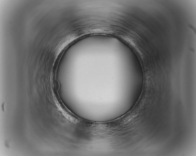 X0000100400991200806201732