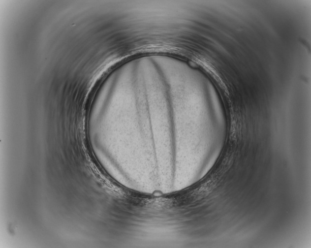 X0000100400992200806201732