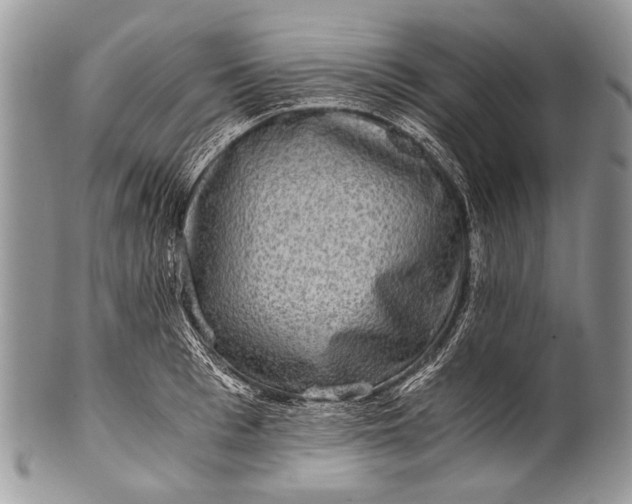 X0000100400993200806201732