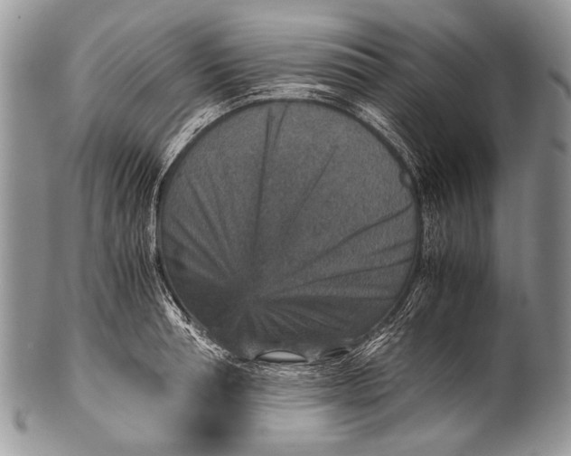 X0000100400994200806201732