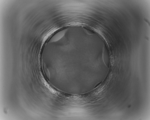 X0000100400995200806201732