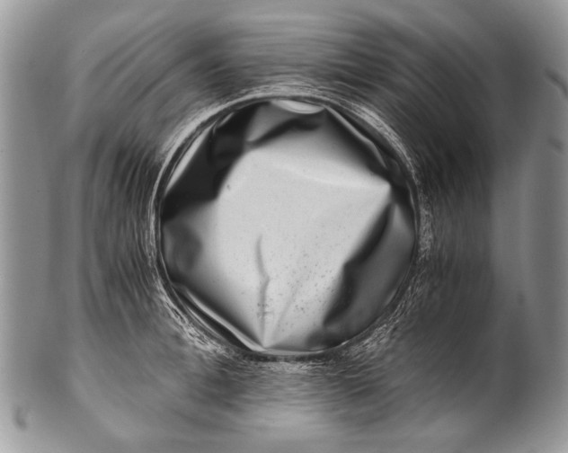 X0000100400996200806201732