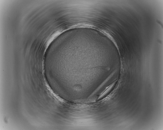 X0000100400997200806201732