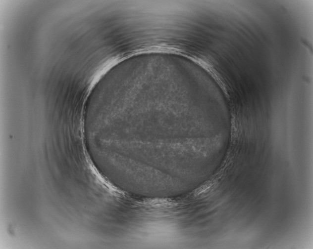 X0000100400998200806201732