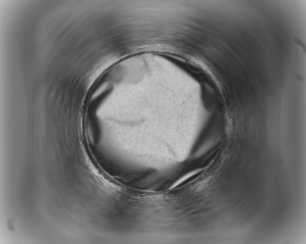 X0000100400999200806201732
