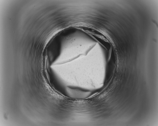 X0000100401000200806201732