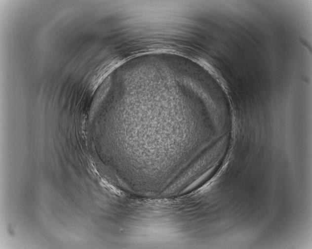 X0000100401001200806201732