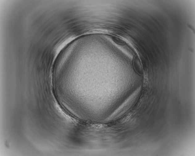 X0000100401003200806201732
