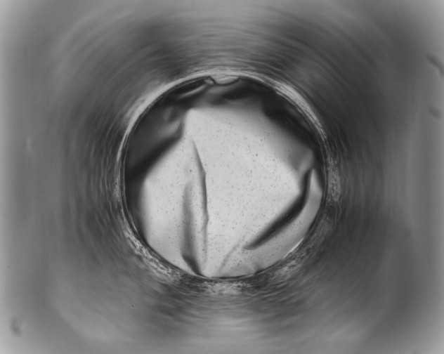 X0000100401004200806201732