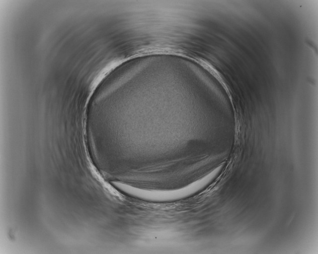X0000100401005200806201732