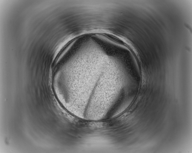 X0000100401006200806201732