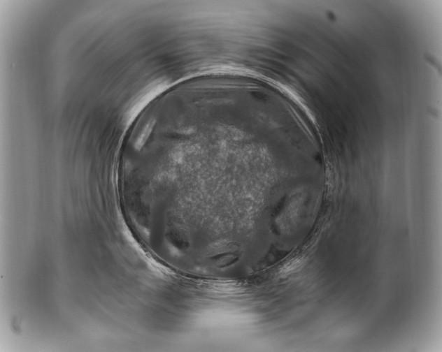 X0000100401007200806201732