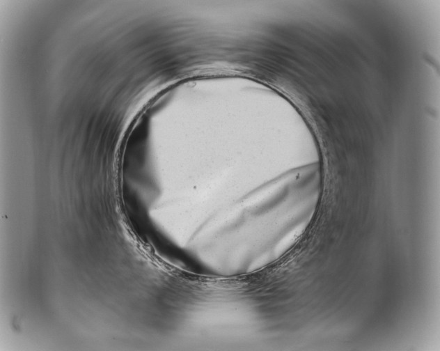 X0000100401008200806201732
