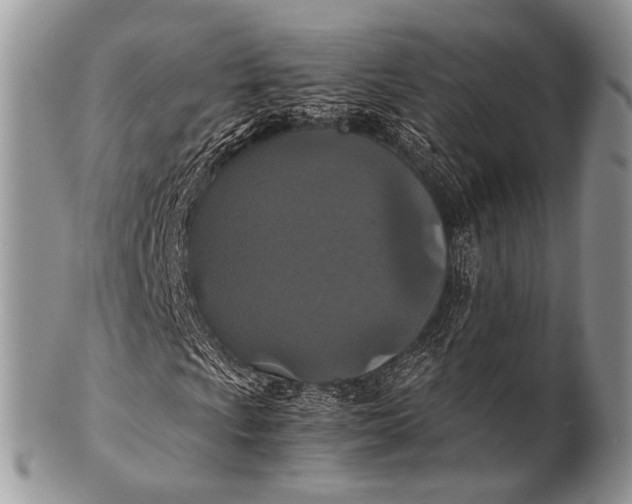X0000100401009200806201731