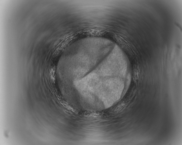 X0000100401010200806201731