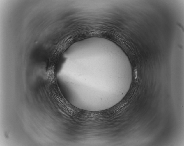 X0000100401011200806201731