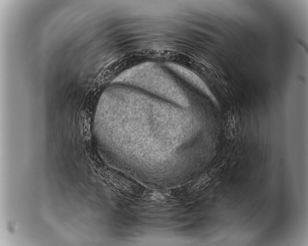 X0000100401013200806201731