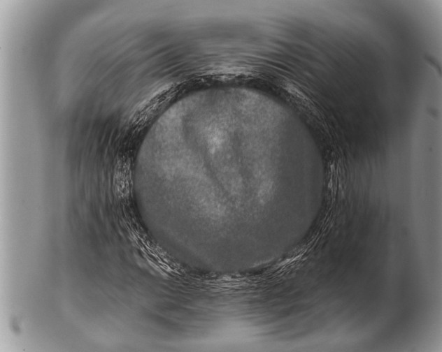 X0000100401014200806201731