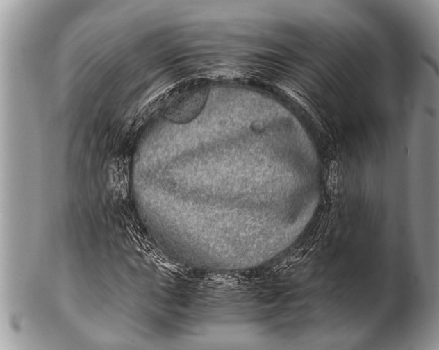 X0000100401015200806201731