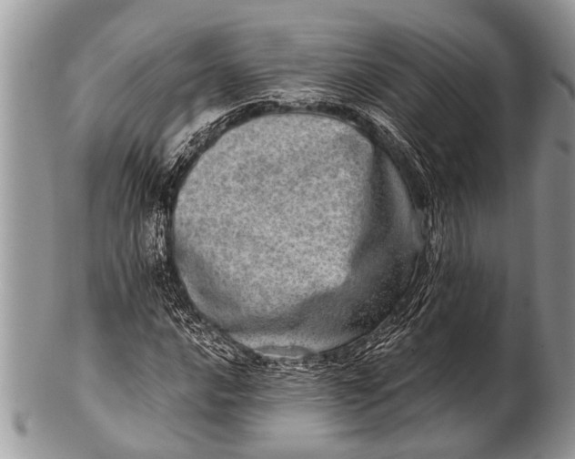 X0000100401016200806201731