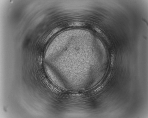 X0000100401017200806201731