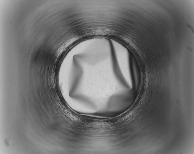 X0000100401018200806201731